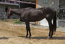 ���̽�ƮŸ�� (HIGHEST TIME) ����