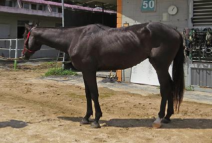 ���̽�ƮŸ�� ����