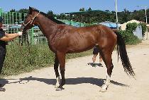 CAPTAIN TIME picture