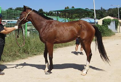 ĸƾŸ�� ����