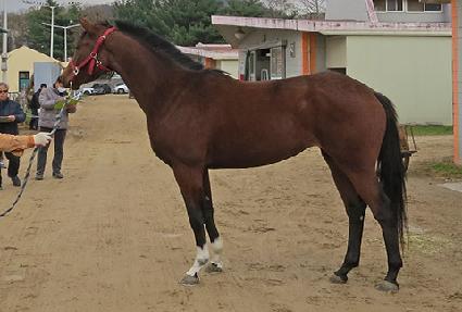 ����Ʈ���̾� ����