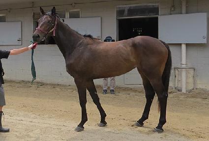 �����̳ο��� ����