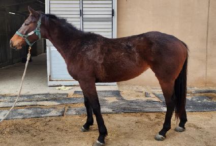 ����ȿ��� ����