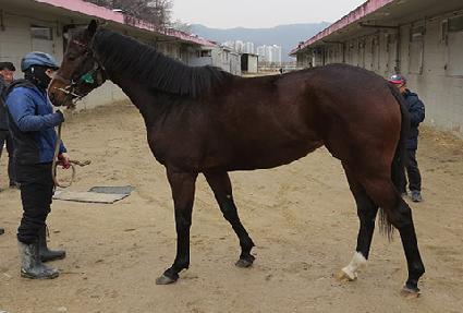 ���Ͽ��� ����