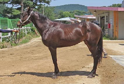 ���̰��� ����