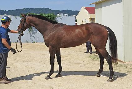 ��Ŭ���� ����