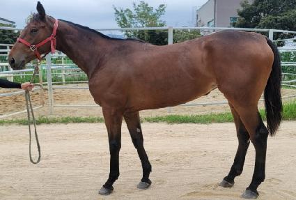 �������� ����