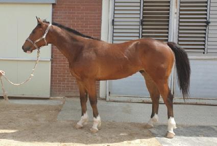 ���ϸ� ����