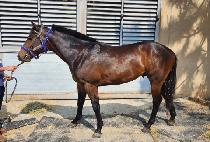 ���ǳ뷡 (BURUI NORAE) ����