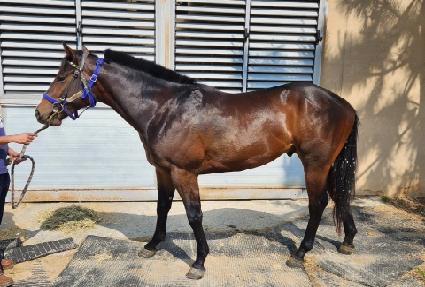 ���ǳ뷡 ����