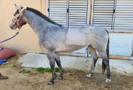 �����ε� ����