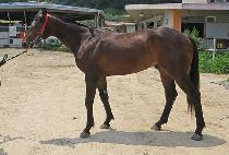 �����ǿ��� (YEONGGWANGUI WORLD) ����