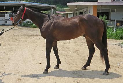 �����ǿ��� ����