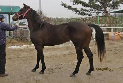 �����ұ�� ����