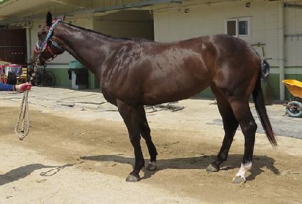 �����Ʈ ����