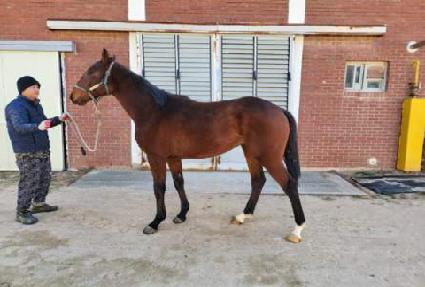 ���̺�� ����