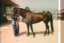 �Ƹ��� (A MA ZONE) ����