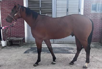 �ְ������� ����