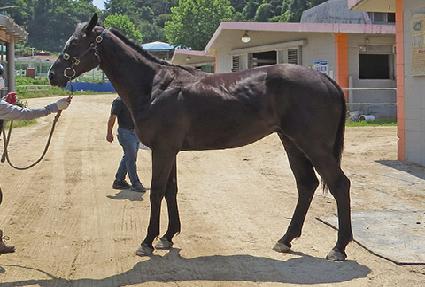 ���ǵ������ ����