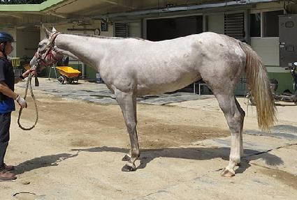 �Ƴ���� ����