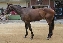 ��⳻��״� (YONGGINAEYO GEUDAE) ����