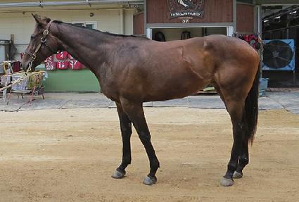 ��⳻��״� ����