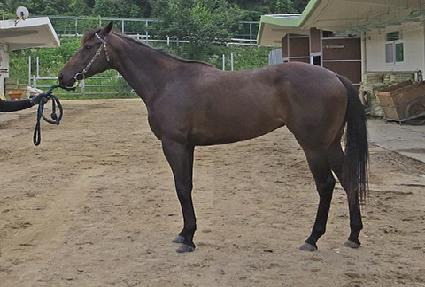 �ǿ��������� ����