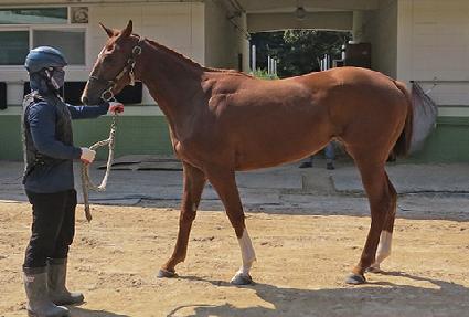 �ݼ����� ����