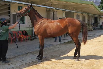 ���ѹ��� ����