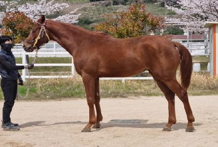 �ε����� ����