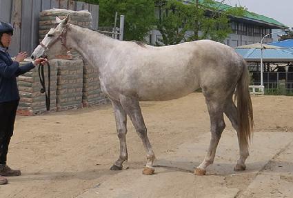 ���������� ����