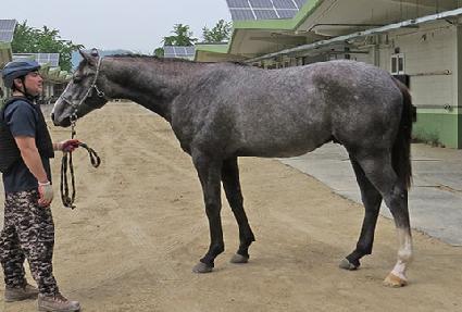 ��������� ����