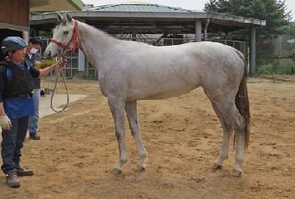 ������� ����