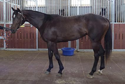 �л�뼼 ����