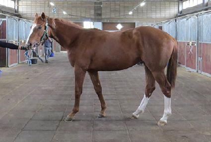 �л긶�� ����