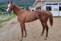 ����̶�Ŭ (GUKDAE MIRACLE) ����