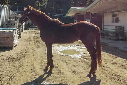 ��Ʈ��Ǭ ����