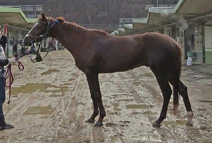 ����ʿ� ����