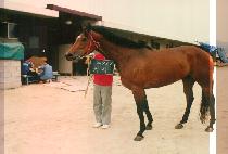 ���� (GWI JAE) ����