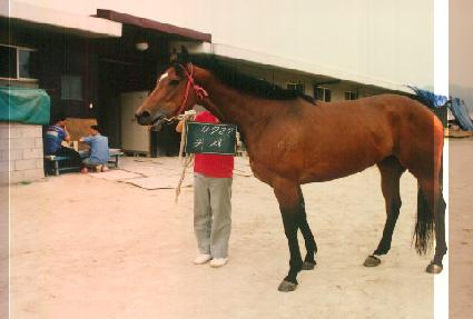 ���� ����