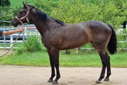 �ε�������� ����