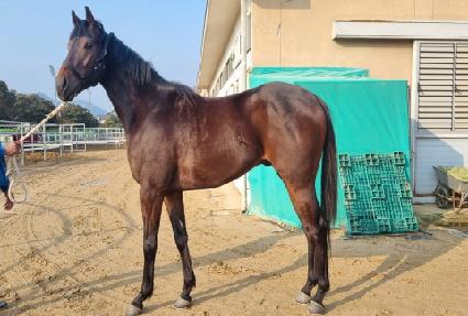 �÷��õ��� ����