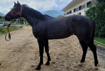 ��ũ���� ����