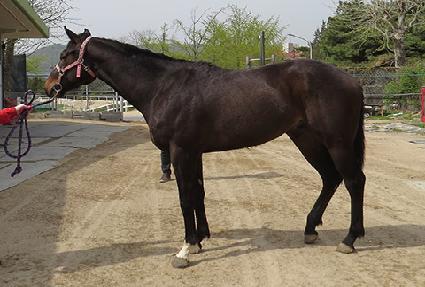 ���谡�� ����