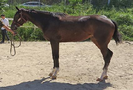 ž���̾� ����