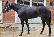 �Ŀ���ũ (POWER BANK) ����