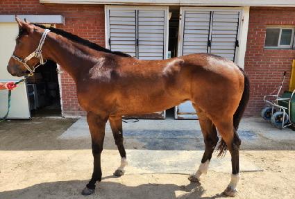 ������Ƽ ����