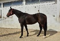 �÷���帲 (COLORS DREAM) ����