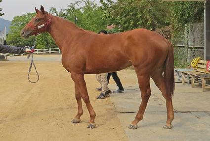 ����γ��� ����