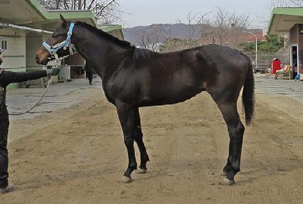 ��ϼ��� ����